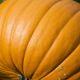 35dsc_1511_copy.jpg